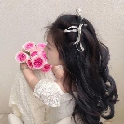 虎侠
